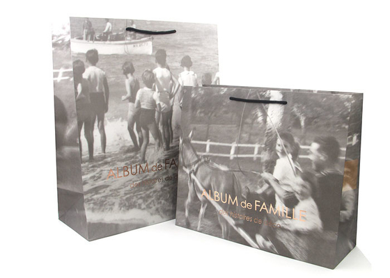 Good price Aimez les sacs en papier personnalisés/impression offset imprimée de sacs de transporteur de papier en ligne