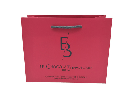 Good price Le cadeau de papier imprimé par coutume recyclable pliable met en sac la caractéristique biodégradable en ligne